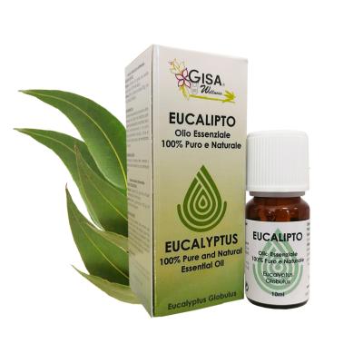 eucalipto convenzionale