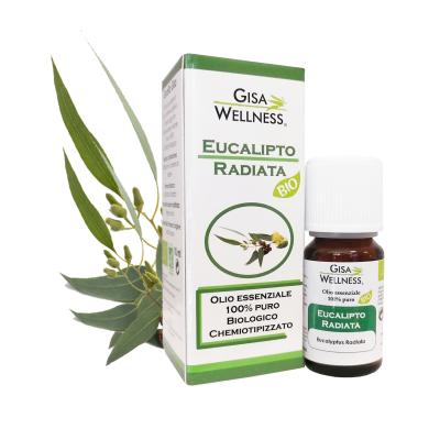 eucalipto radiata bio
